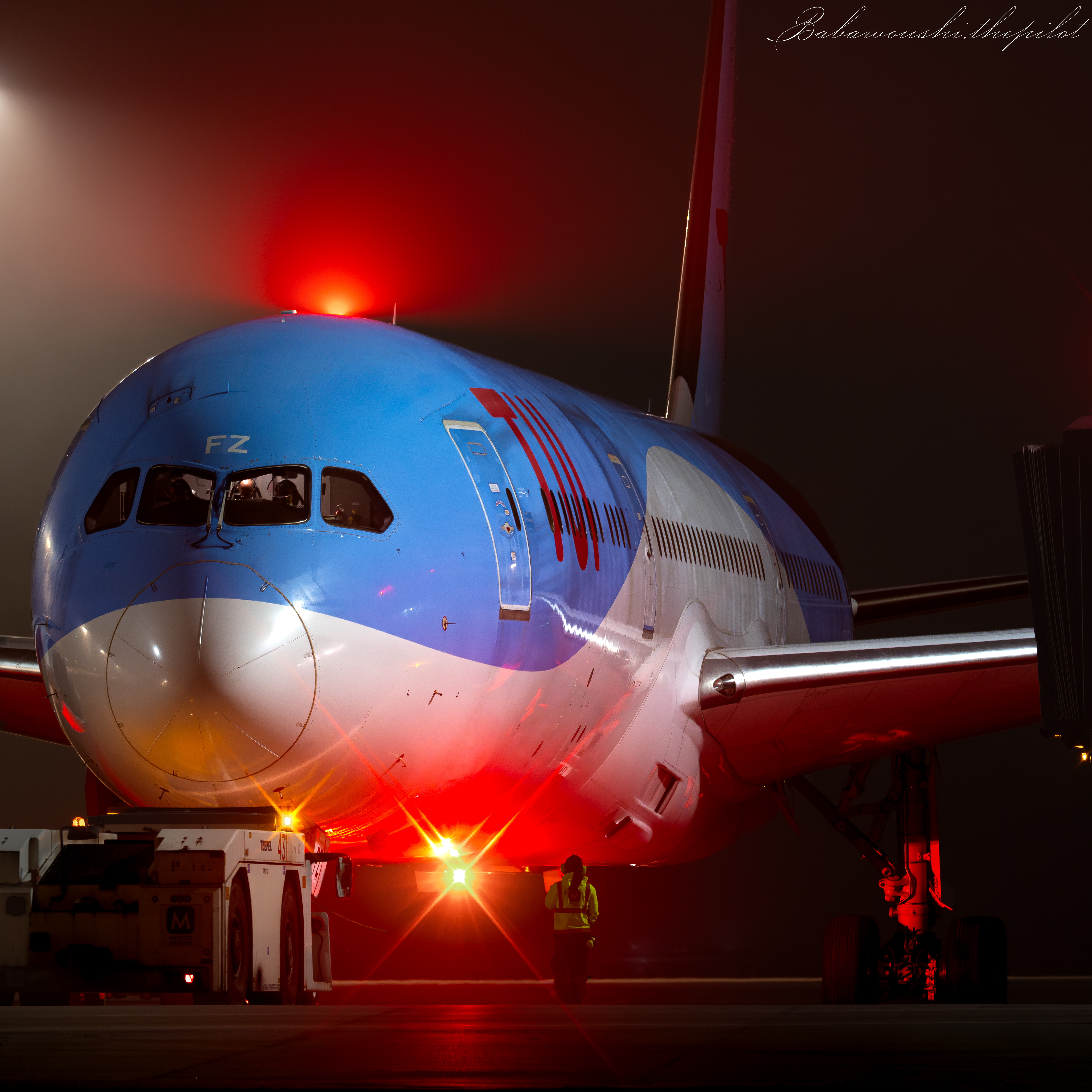 Spotting image
